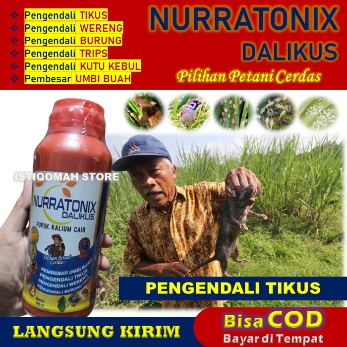 100% Ampuh Obat Pengendali Hama Tikus Padi NURRATONIX DALIKUS 500ML, Obat Pembasmi Tikus Sawah, Solu
