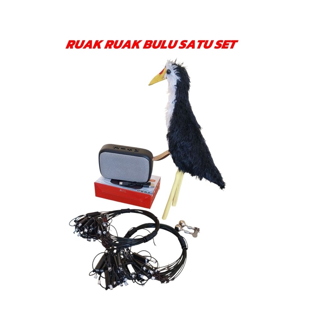 JERAT RACIK GANTUNG RUAK RUAK BULU FULSET JEBAKAN BURUNG RUAK RUAK KOMPLIT BULU LONCENG MP3