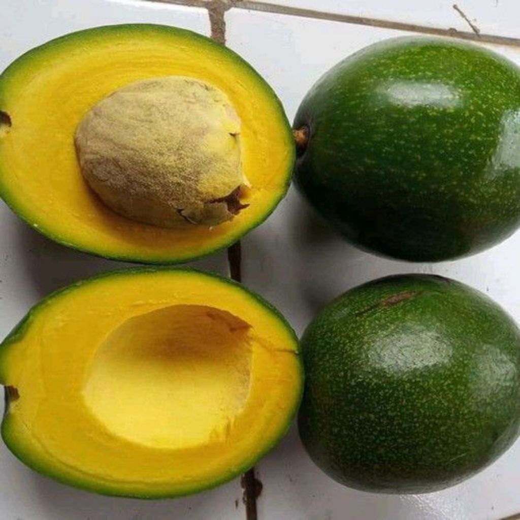 

ALPUKAT MENTEGA SUPER KUNING JUMBO 1KG FRESH ENAK LEZAT 3-4 DAN TIDAK BERSERAT!!!!!!!!