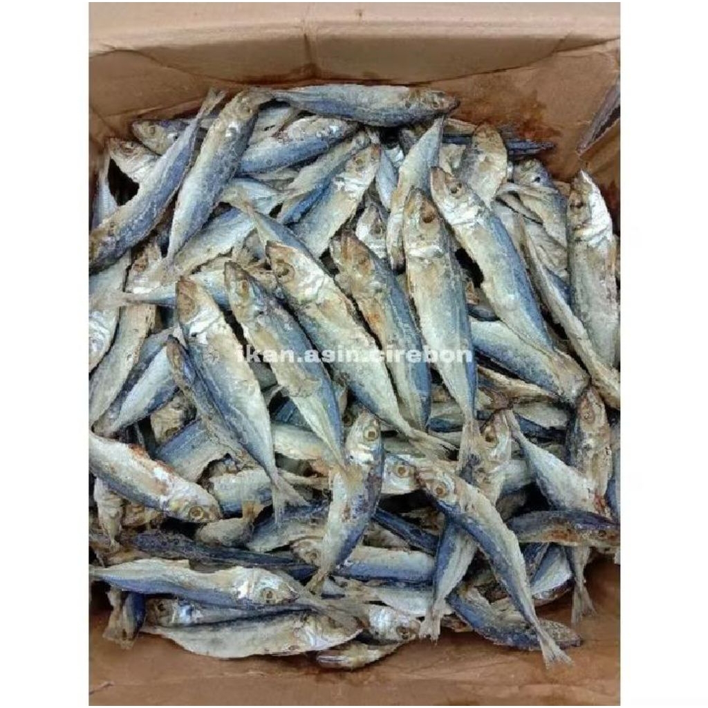 

Ikan Asin Peda Layang Cirebon 1Kg 500g 250g Promo Murah