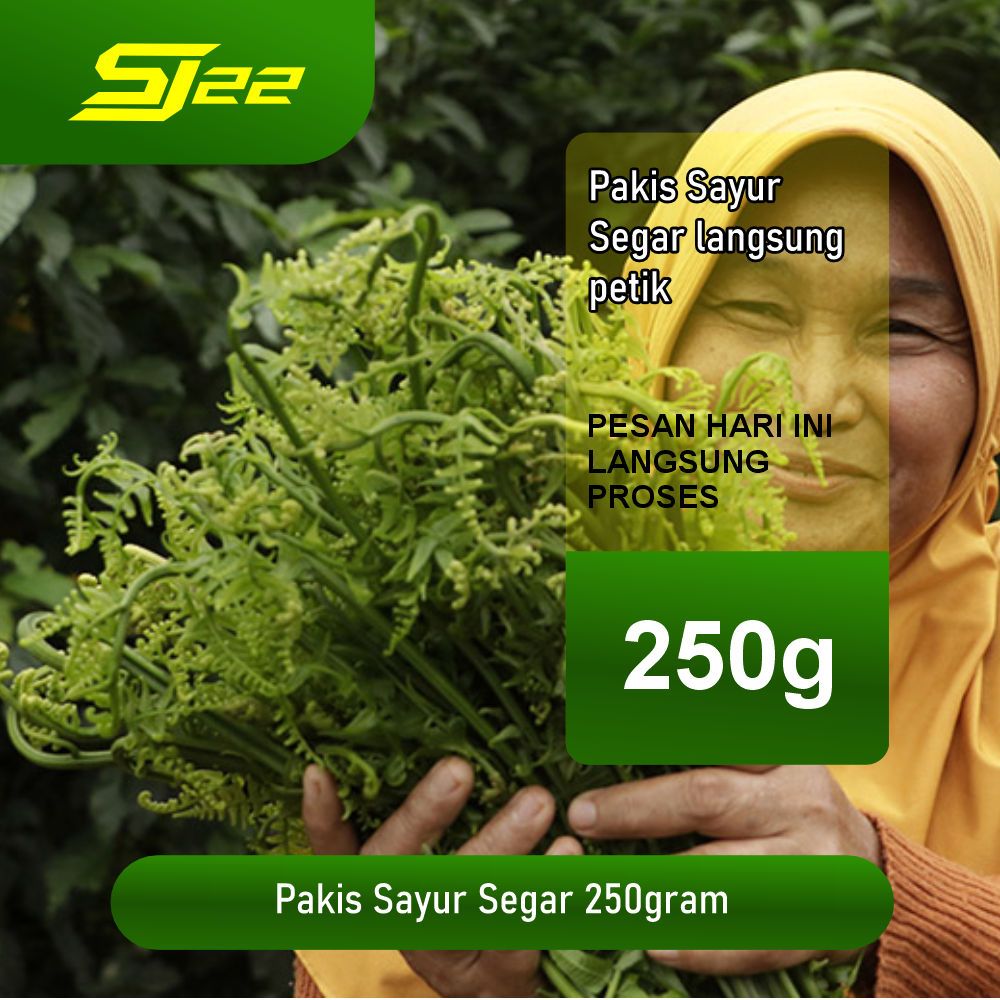

Pakis Sayur Segar 250gr – Daun Paku Muda Sayuran Fresh Alami