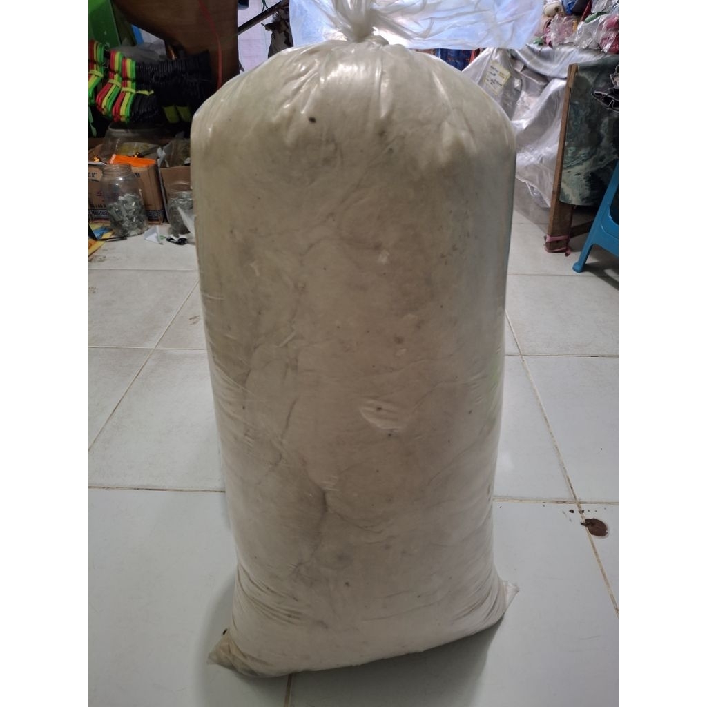[Murah] Kapuk randu murni kiloan | kapuk isi 1 Kg  ( COD )