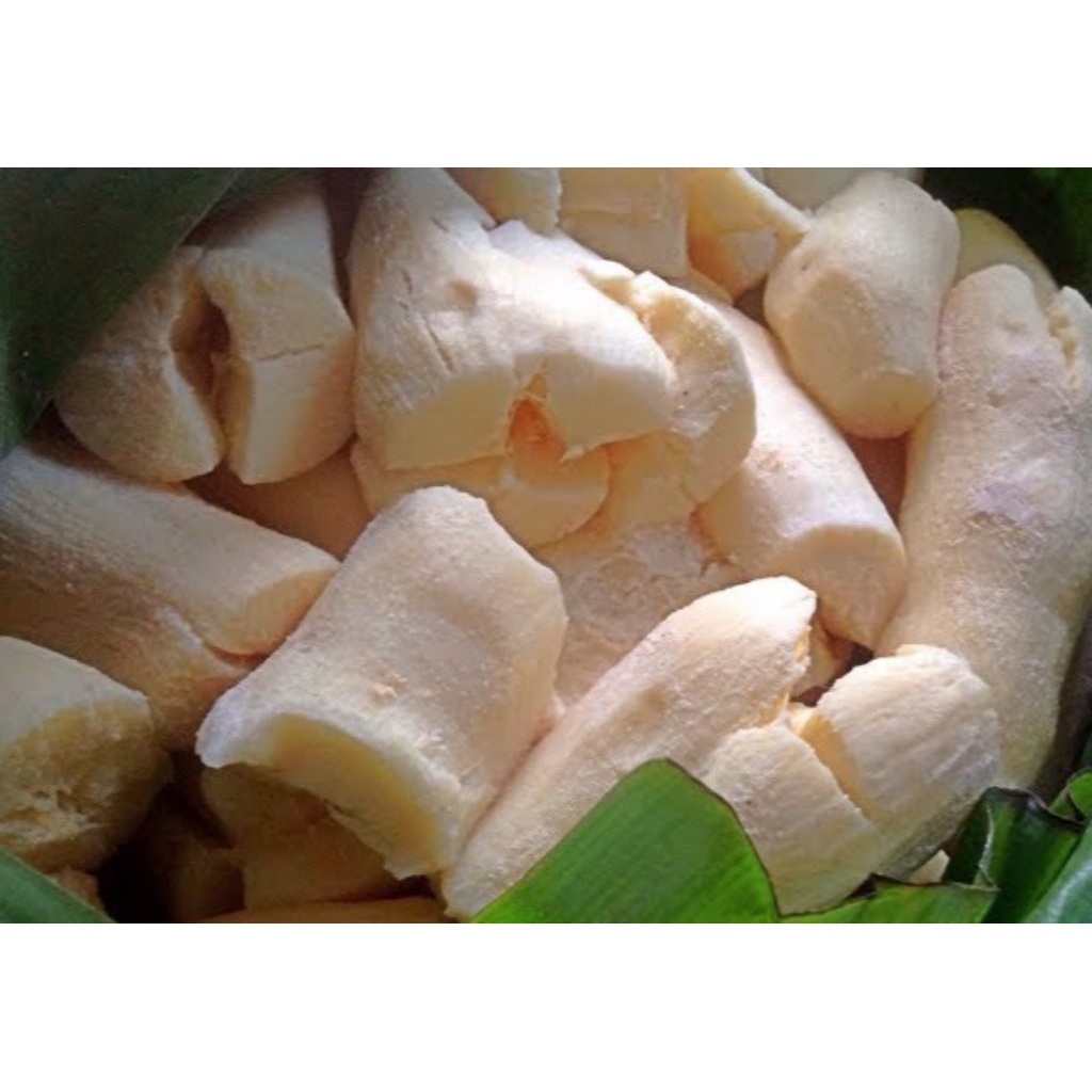 

Tape manis Bondowoso kemasan 500 gram rasanya manis asli Bondowoso