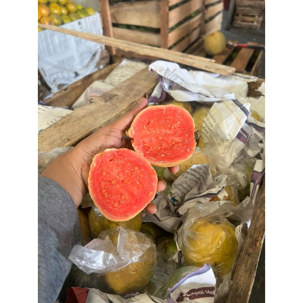 

JAMBU MERAH SEGAR 500
