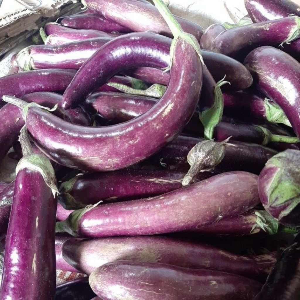 

Terong Ungu 1kg Fresh