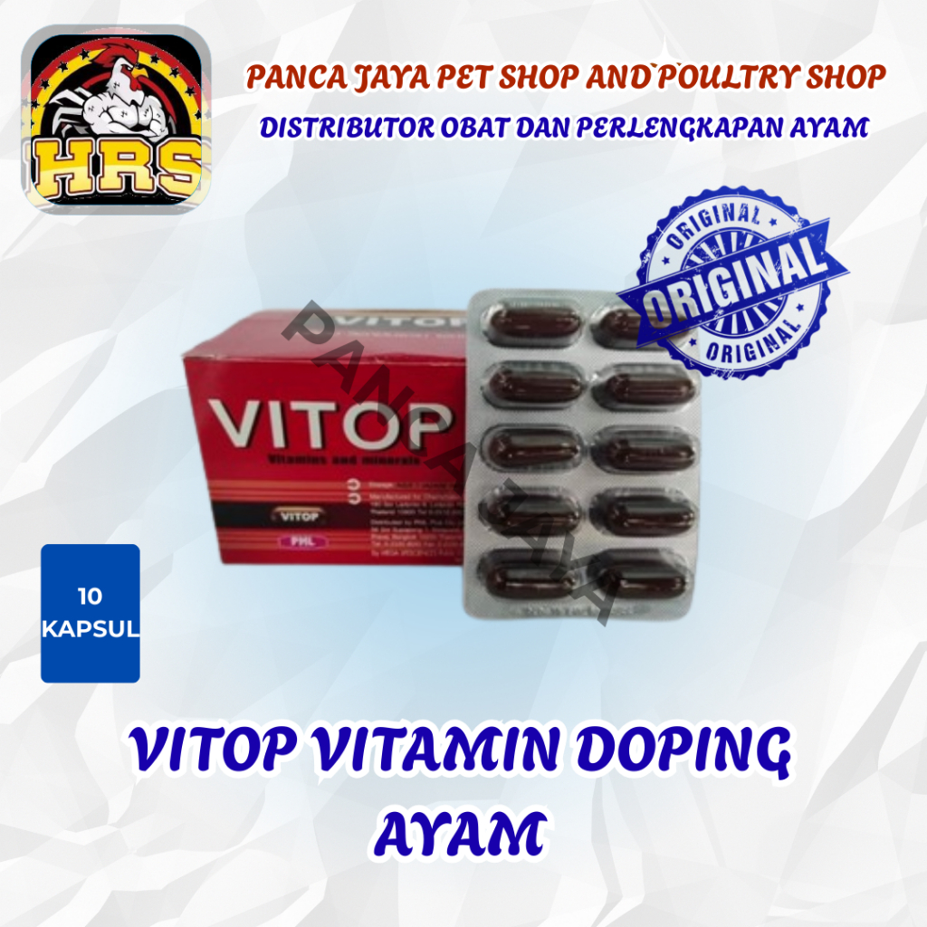 Vitop 1 Strip 10 Kapsul Import Thailand Vitamin Doping Ayam