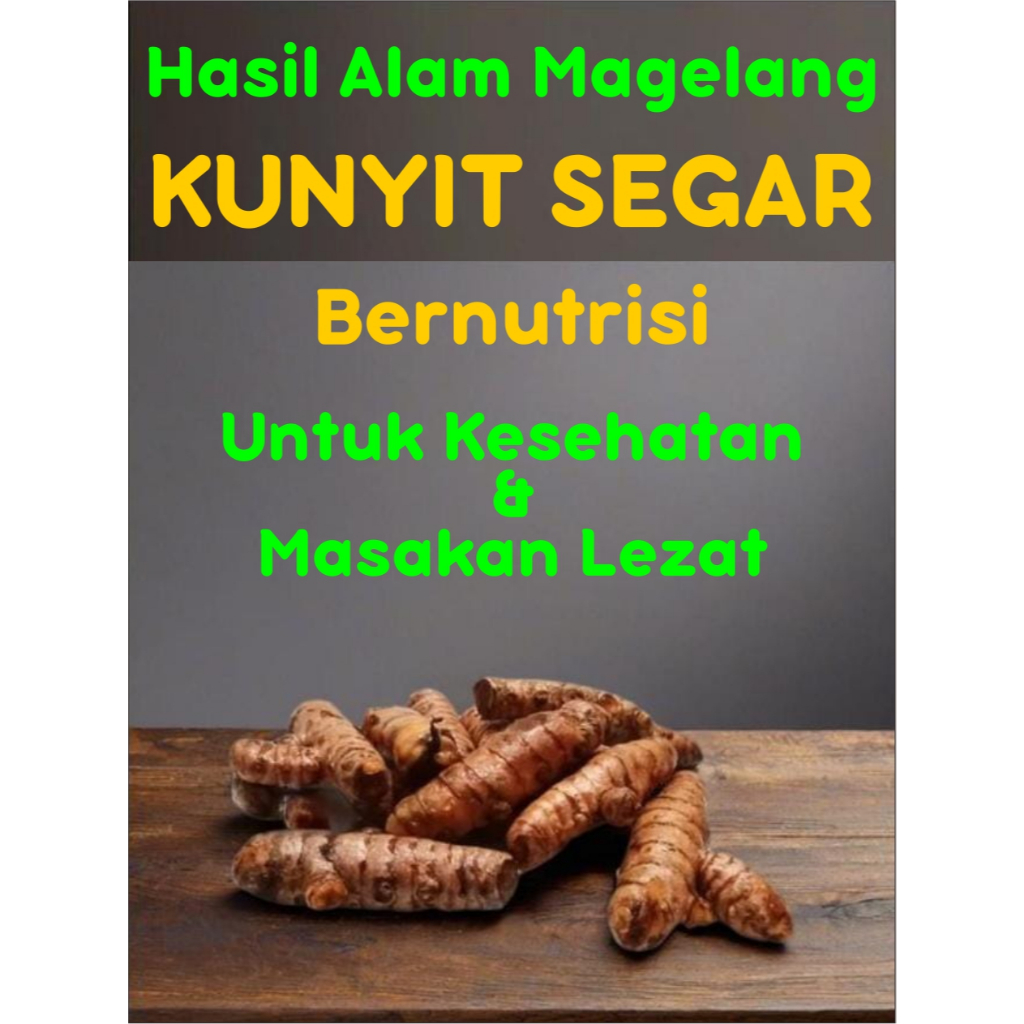 

Kunyit Segar 200 Gram – Bumbu Dapur – Rempah Herbal Alami Sehat