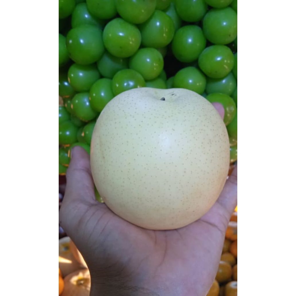 

pear Century manis renyah