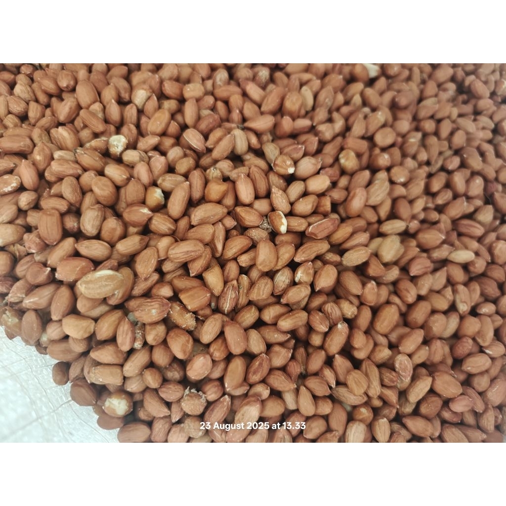 

Kacang Tanah 1Kg