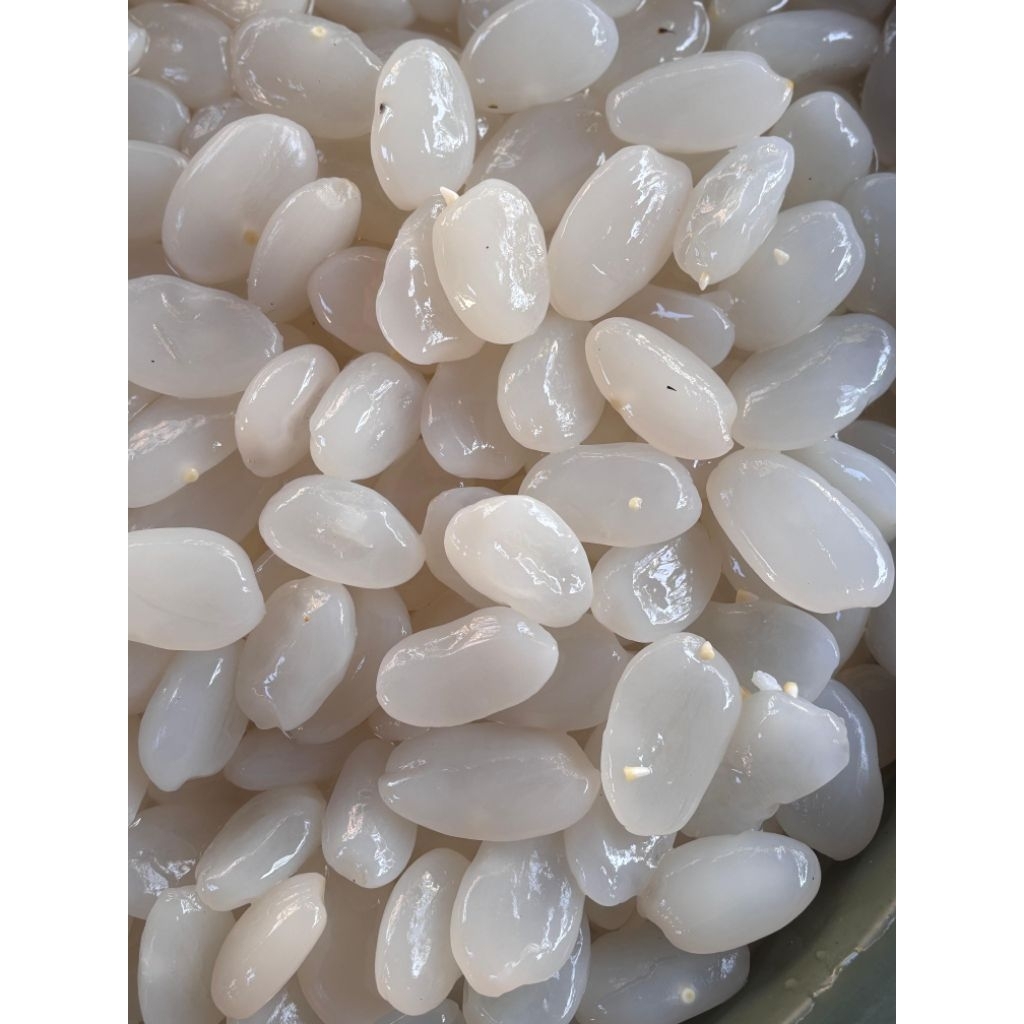 

500GR KOLANG KALING/CARULUK ASLI TANPA BAHAN PENGAWET