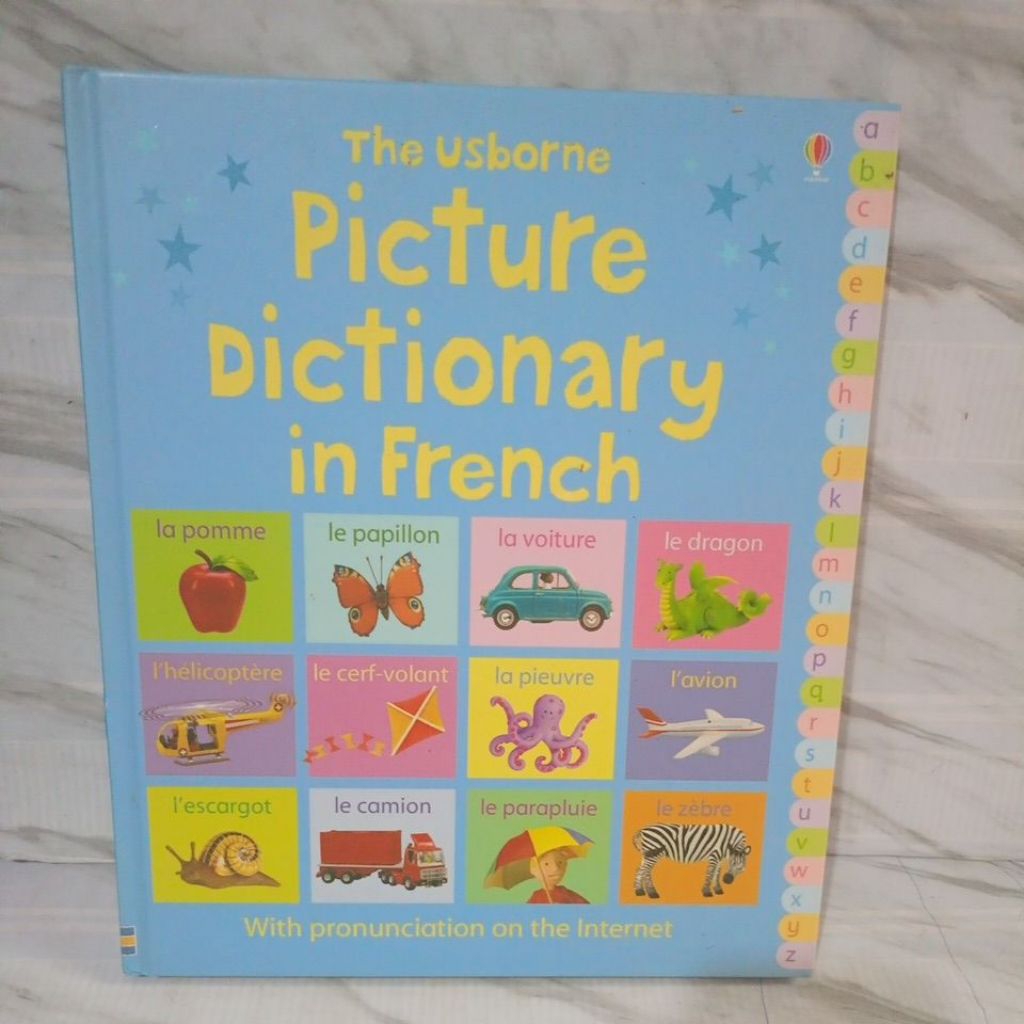 Buku import bekas : The Usborne Picture Dictionary in French