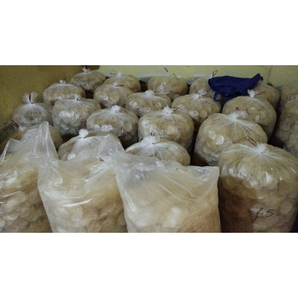 

1/2 kripik kaca mentah babanggi kripik kaca kripca Ciamis