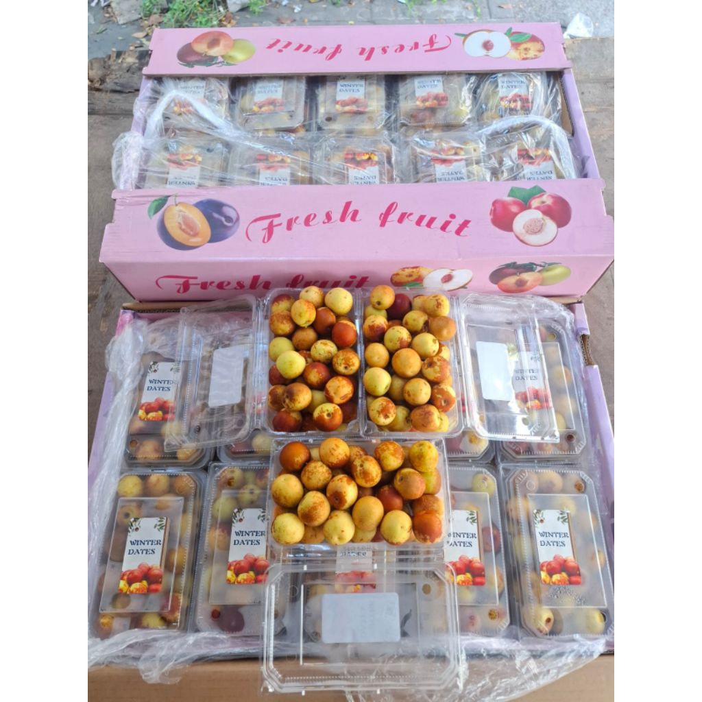 

Winter Jujube / Buah Segar On Mallahrizwa