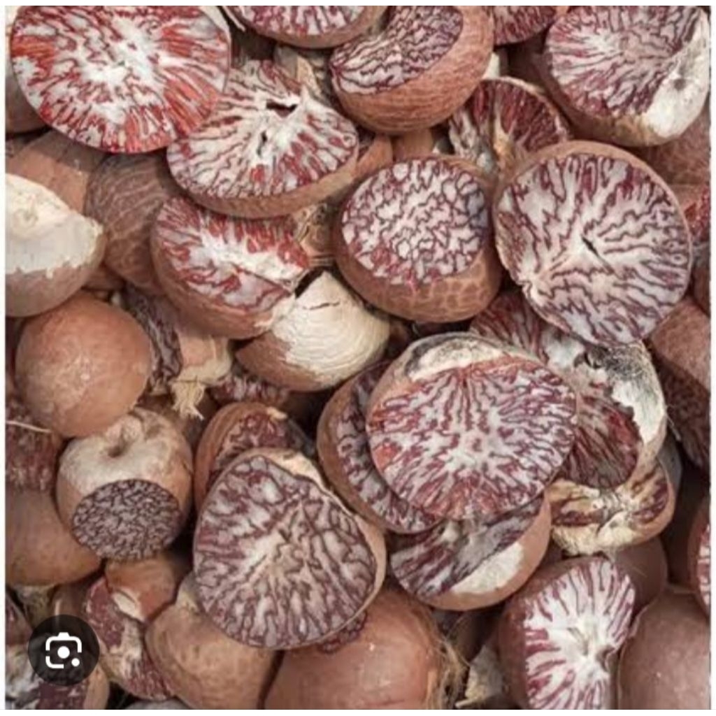 

biji pinang kering 500 grm