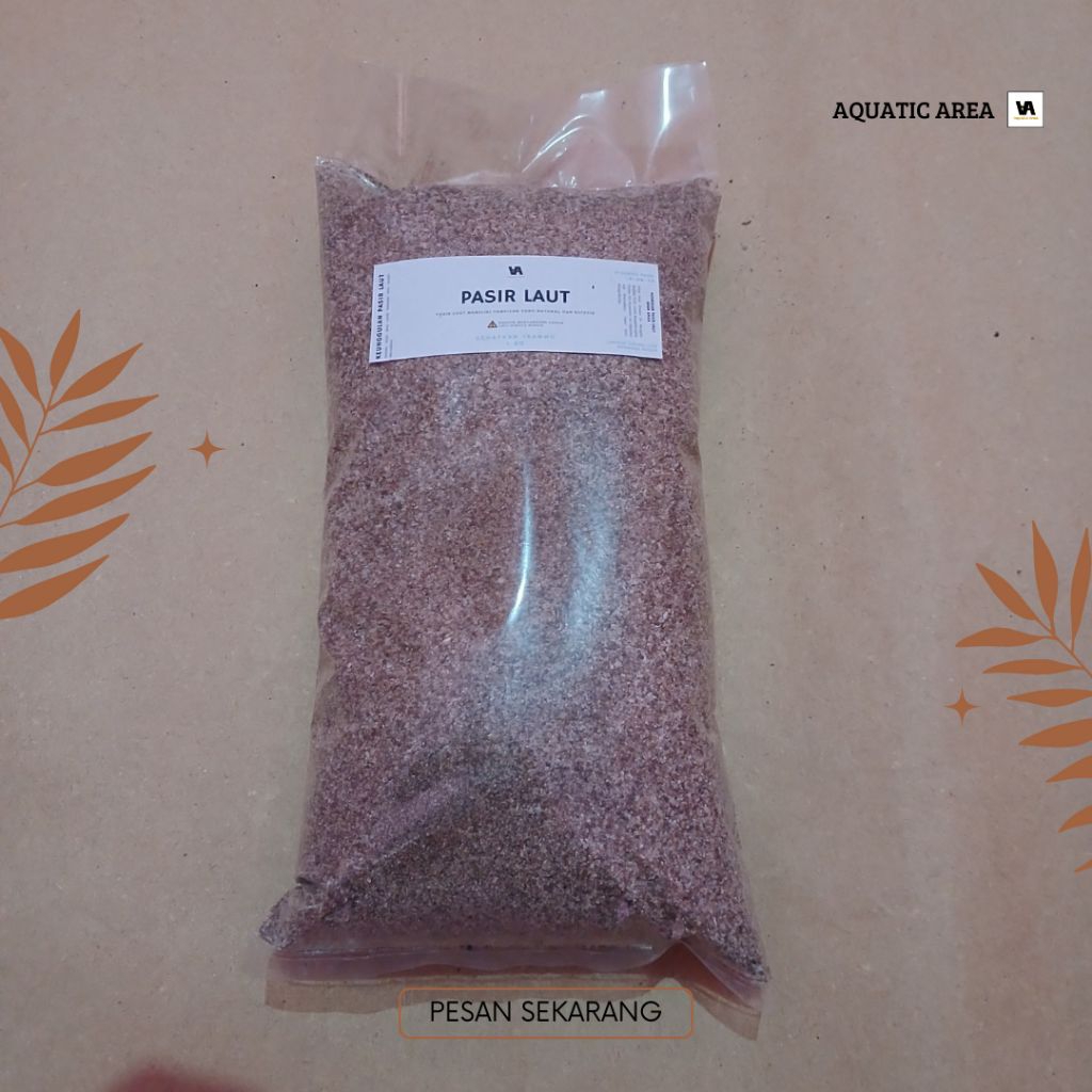 Pasir Laut Putih Halus