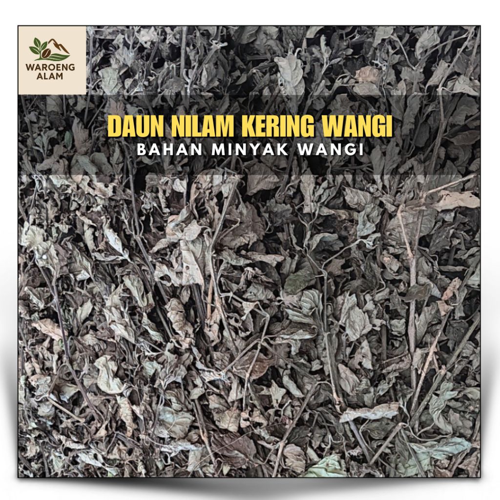 [Daun Nilam Kering] Bahan Minyak Wangi, Minyak Nilam, Parfum dan Aromaterapi 1 kg