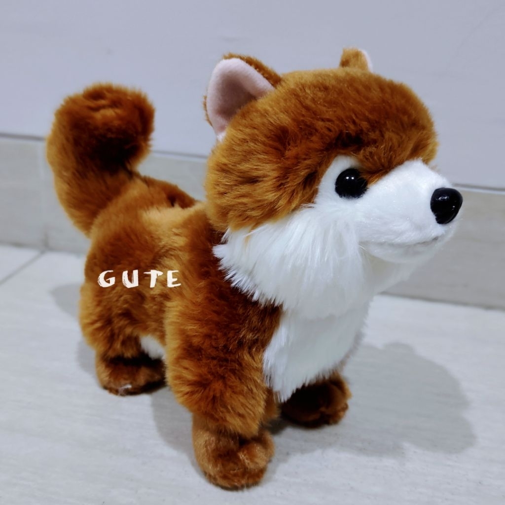 Boneka Anjing Pom pomeranian