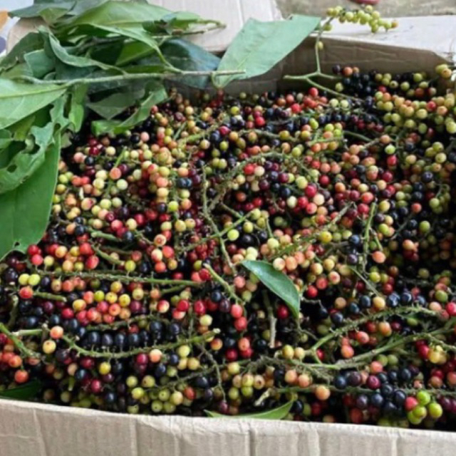 

Buah buni segar - buah huni 500 grm