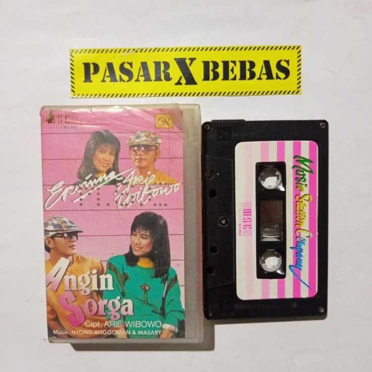 kaset pita ervinna & arie wibowo