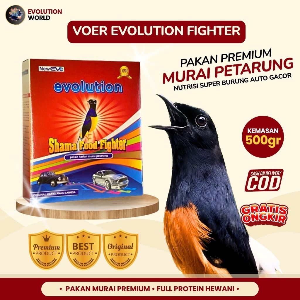 Pakan Burung Premium Murai Petarung Voer Evolution Fighter