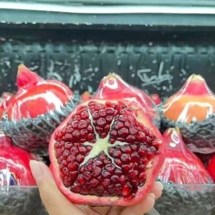 

Buah delima Tunisia merah super fresh 1kg