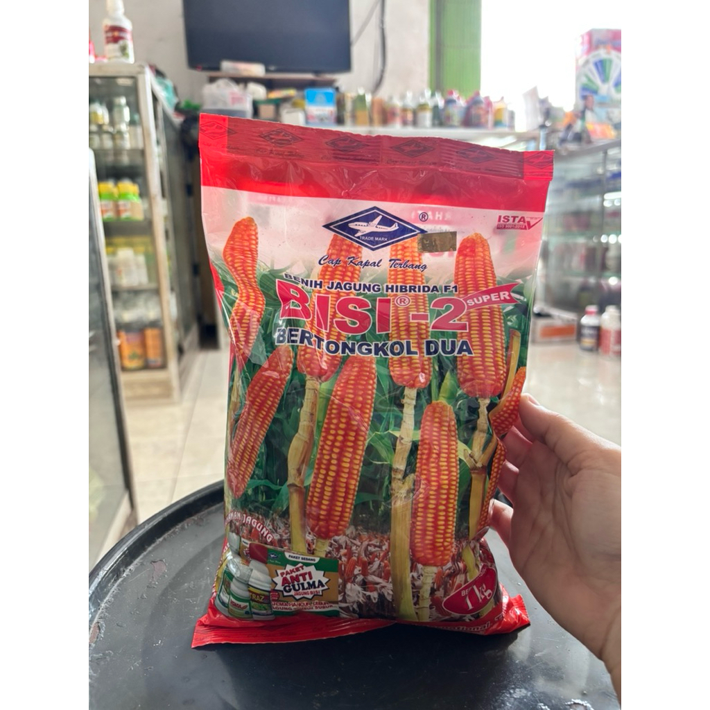 BENIH JAGUNG HIBRIDA BISI 2 - 1KG (ORIGINAL)