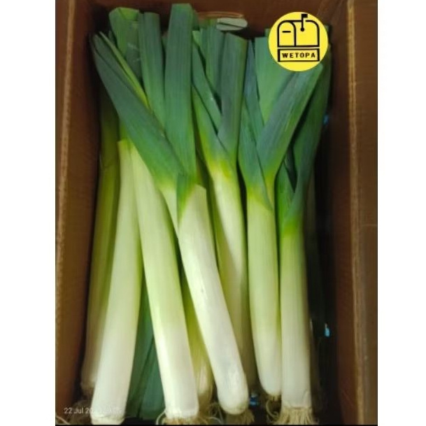 

LEEK IMPORT AUSTRALI 500GR