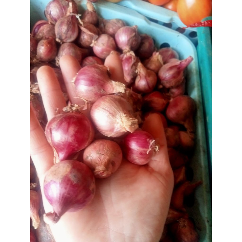

Bawang merah murah meriah 250 Gram