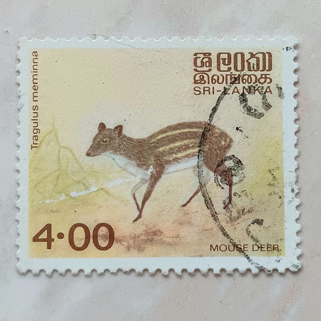 (AD) Perangko Sri Lanka 1981 Native Animals - White-spotted Mouse Deer (Tragulus meminna) 4 rupee Us