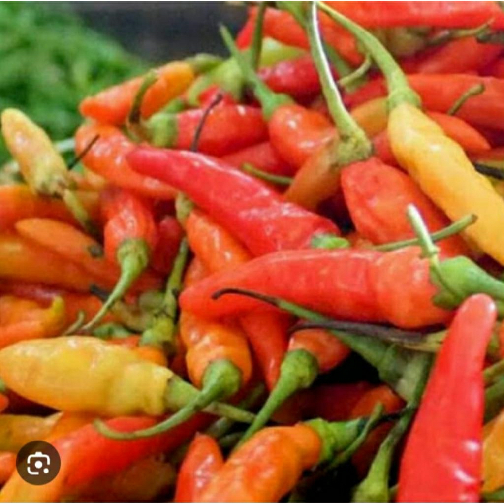 

Cabe Caplak/Rawit pedas 100gr/250gr