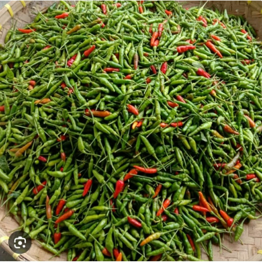 

CABE RAWIT KECIL 100gr/250gr