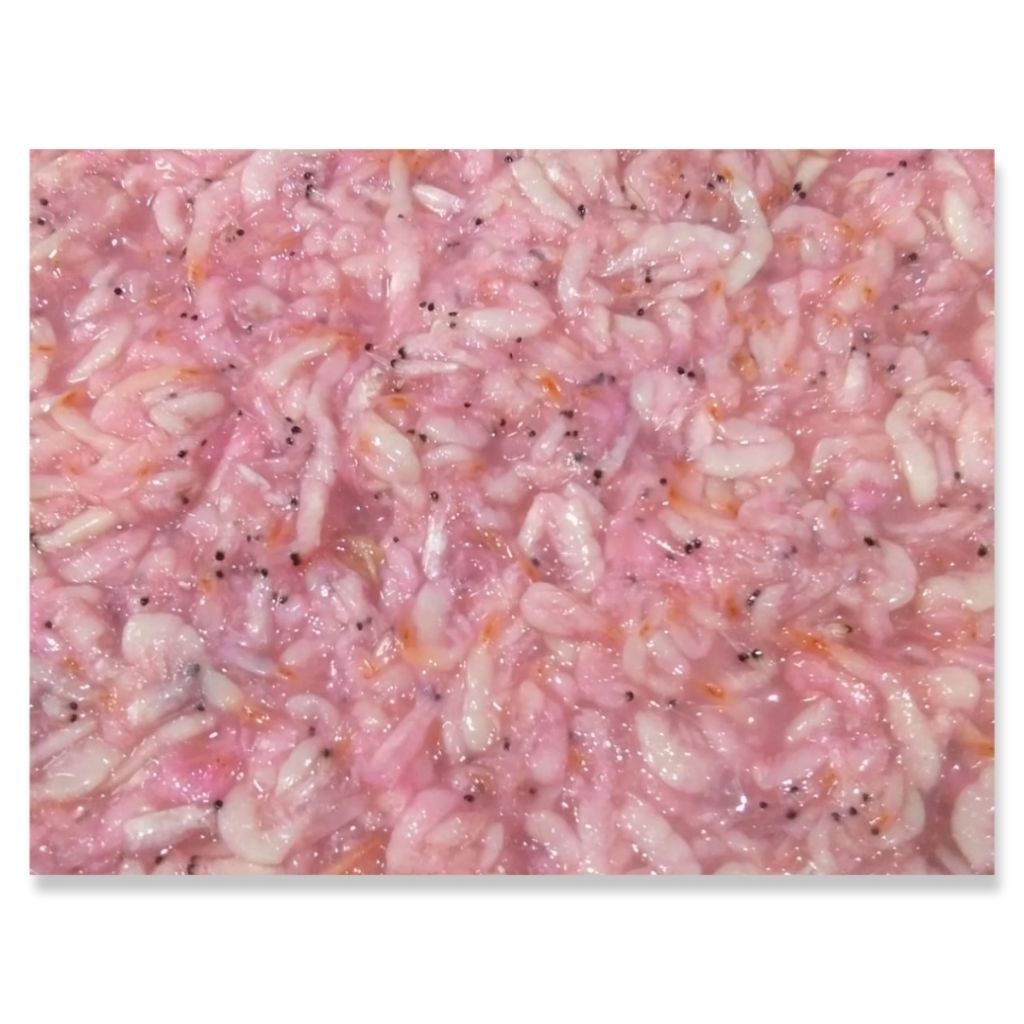 

Fermentasi Udang Baring/Hakoi/Cincalok/Ronto Singkawang 1kg