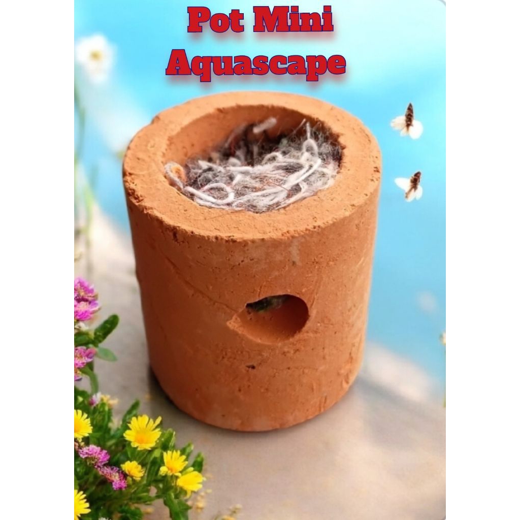Pot Mini Aquascape (Pot Tanaman Air) Polos dan pakai kapas untuk Media Tanam Tanaman  terbuat dari T