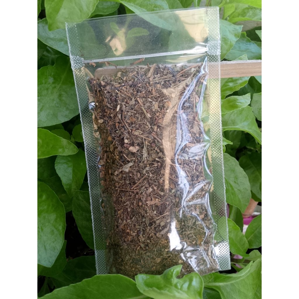 

Daun Meniran Kering - Phyllanthus Niruri L - Daun Meniran - Herbal Meniran Kering - Chanca Piedra Minum Teh