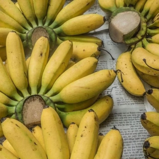 

INSTAN KOTA JAMBI Pisang Barangan per sisir
