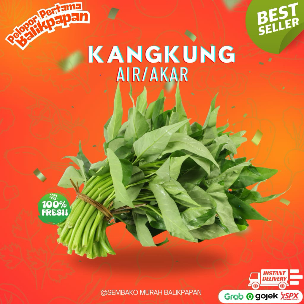 

kangkung air dan kangkung akar