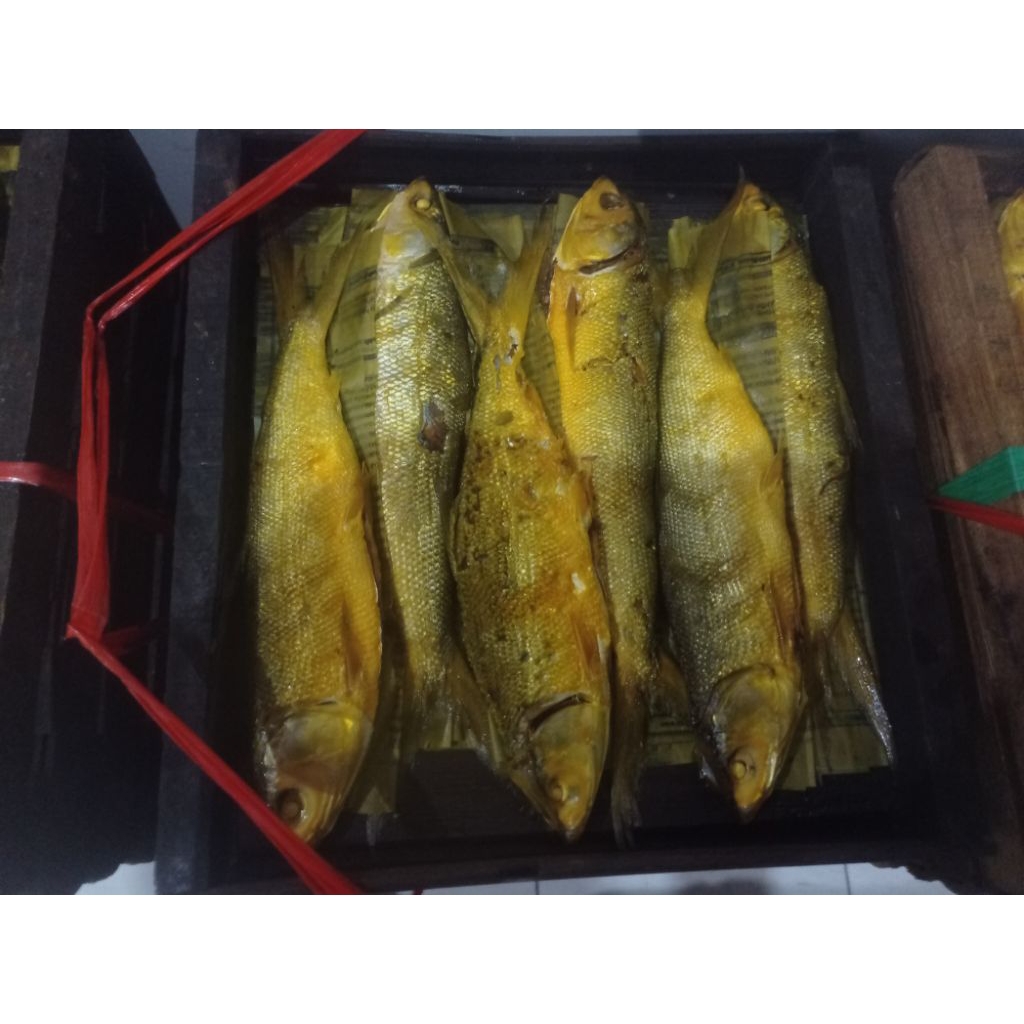 

5 ekor 1kg bandeng presto vakum