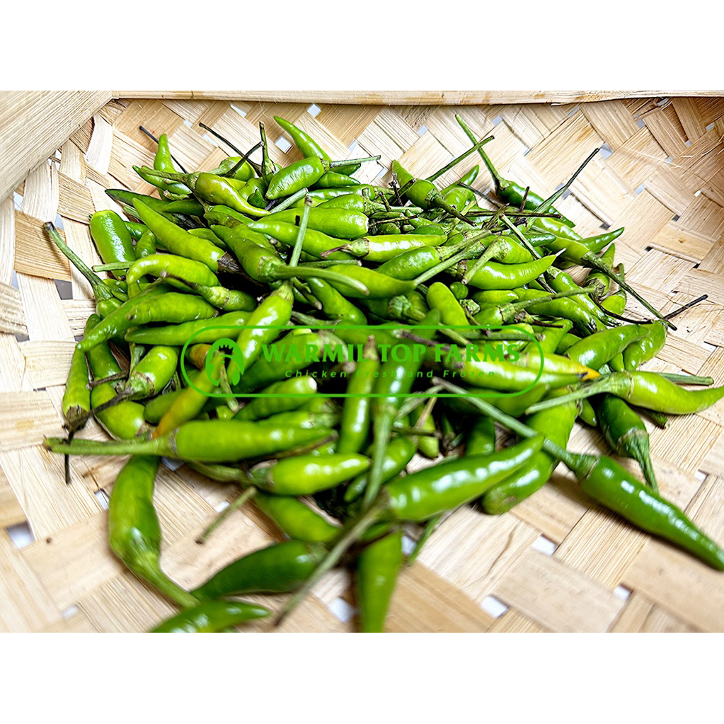 

Cabai Cabe Rawit Hijau 250gr Sayur Segar