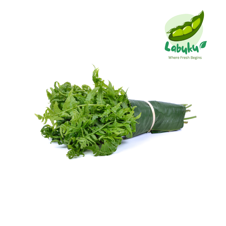 

Labuku – Sayur Pakis / Paku Segar Premium Lokal
