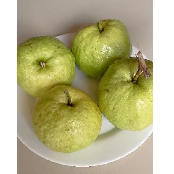 

Jambu Kristal Fresh Kebumen Grade A super (size besar isi 4-5 butir per kilogram)