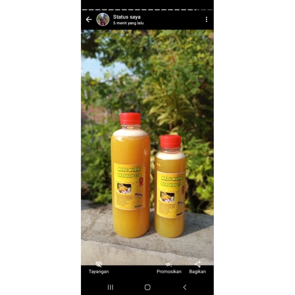 

madu murni kaliandra 500ml