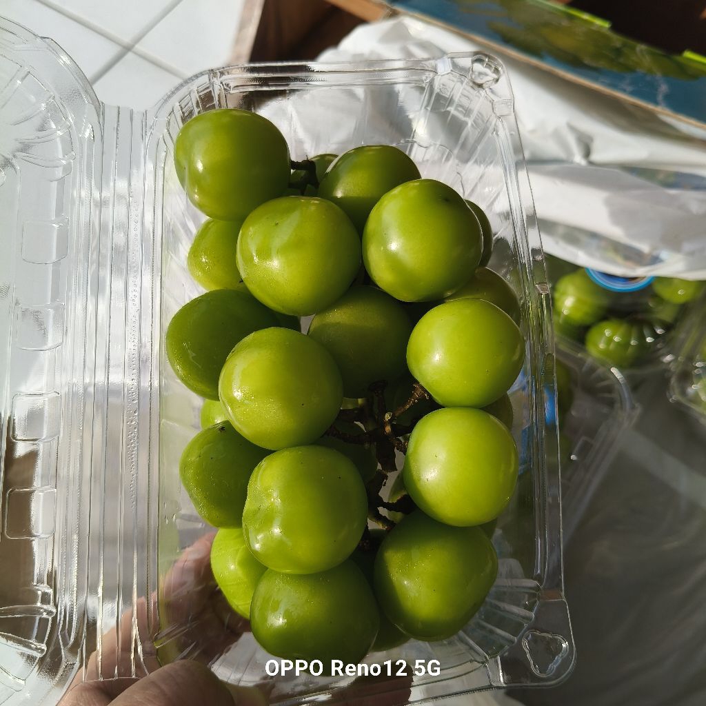 

Anggur Shine Muscat Hijau 500 gr