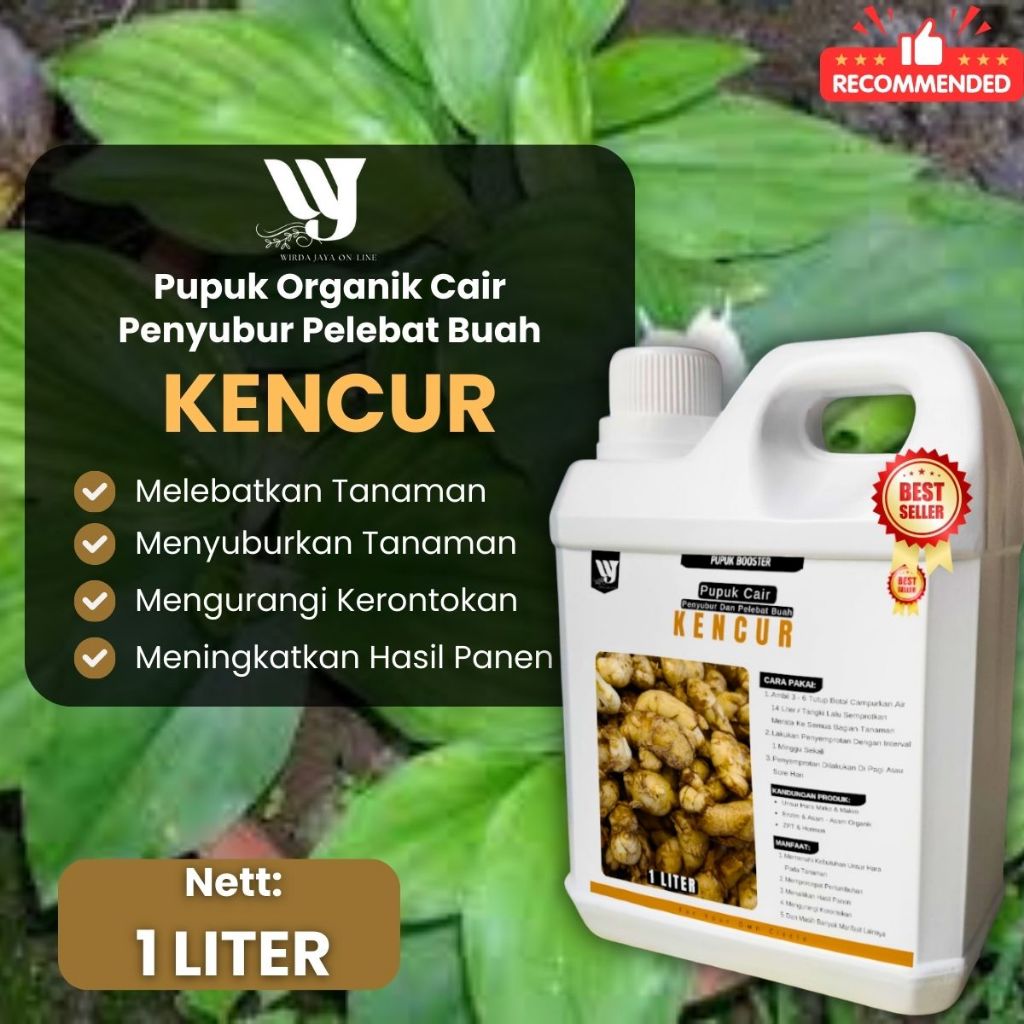Pupuk Kencur Organik Penyubur Rimpang | Perangsang Umbi Besar, Wangi, Hasil Melimpah Booster kencur