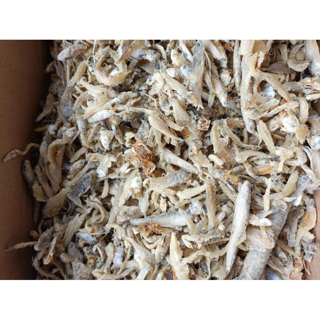 

Grosir remahan ikan asin campur campur pakan ternak bergizi