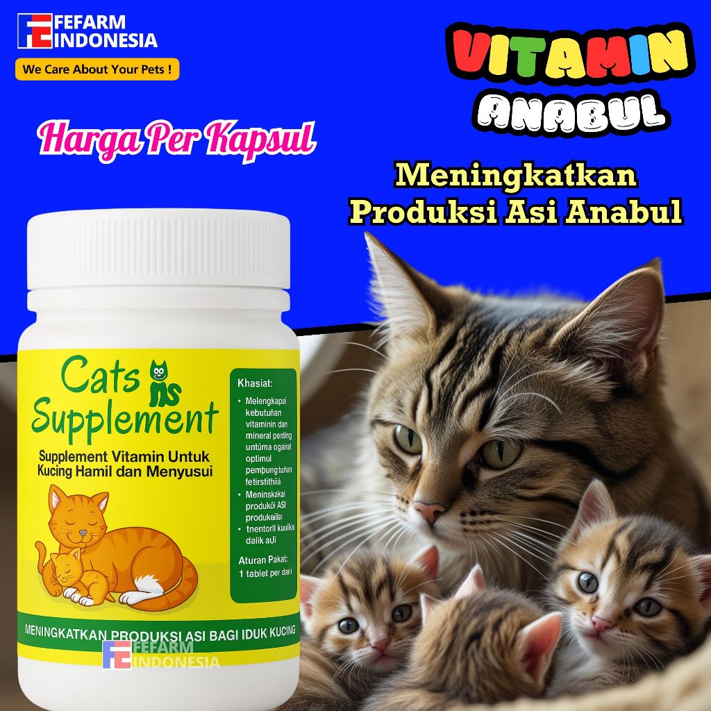 Supplement Vitamin Untuk Kucing Hamil dan Menyusui FEFARM