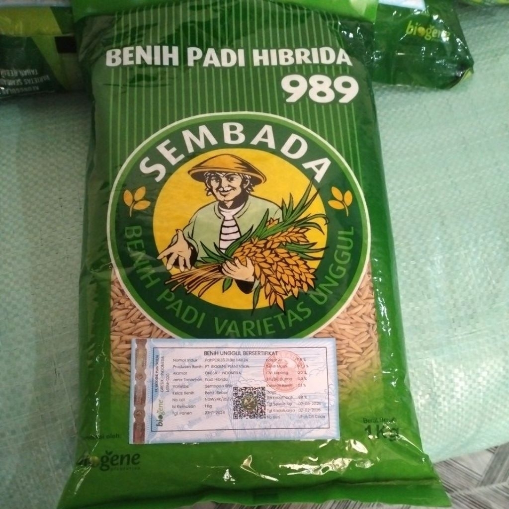 bibit padi SEMBADA 989