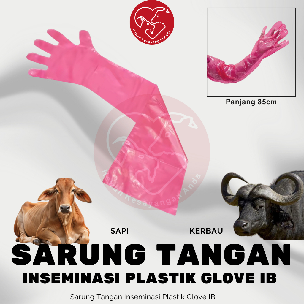 Sarung Tangan Inseminasi Buatan 5 Jari - Plastik Glove IB Sapi Kerbau