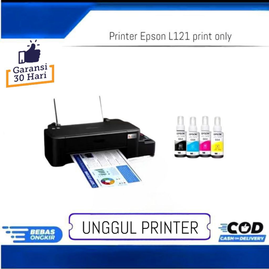 printer Epson L121 print only