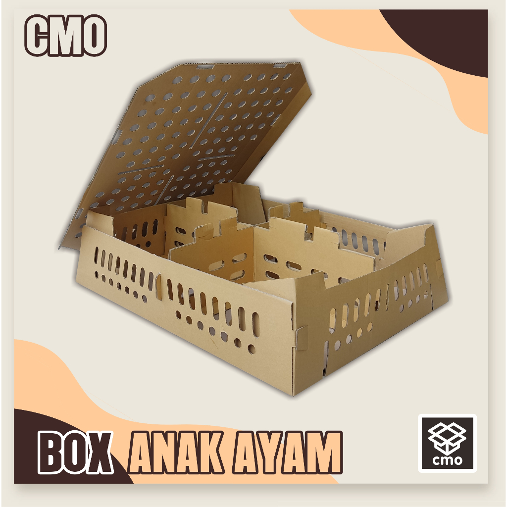 

Box Anak ayam isi 100 ekor 65x49x14 cm