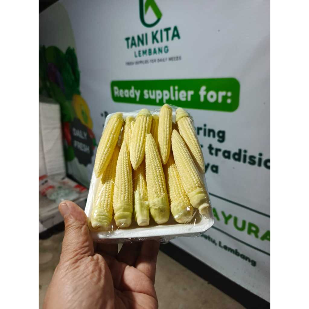 

Jagung Acar Super 200gr | Jagung Pipil Segar Manis | Sayuran Fresh Tani Kita Lembang